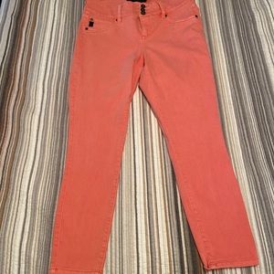 Torrid Skinny Jean